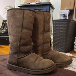 Tall Classic Uggs